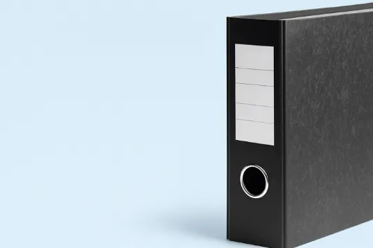 Professionaalsed teenused ja IT