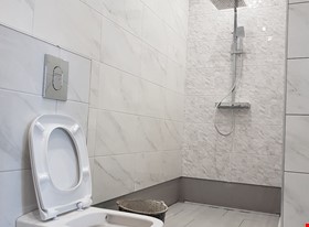 Roman Gerasimov - примеры работ: Saha Loo - фото №2