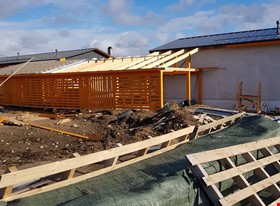 Roman Gerasimov - примеры работ: Saha Loo - фото №6